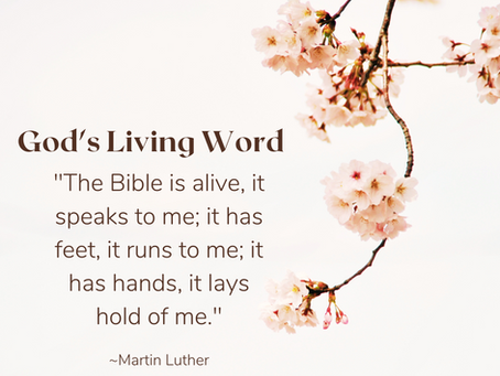 Knowing God Through His Word