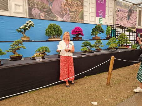 Gold medal at Chelsea Flower Show!