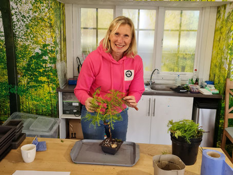 Create a Bonsai at Chessington Garden Centre