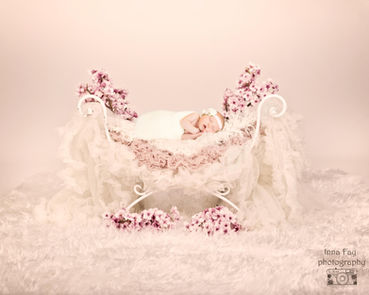 Amazing newborn photo session for a baby girl