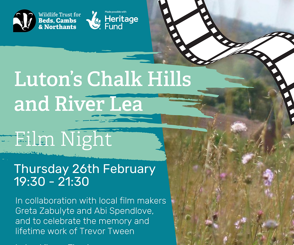 Luton's Chalk Hills and River Lea - Film Night