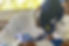 a764fc_439cdfee0eae451b870dd3f1801c9daa~mv2.jpg