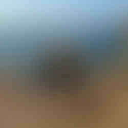 Al Mare guesthouse seaview Monterosso