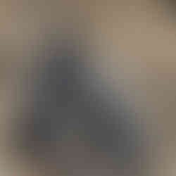 Zebra i Serengeti National Park