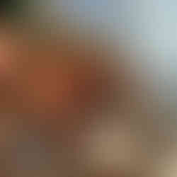 Terrass Ca da Maina lgh Riomaggiore