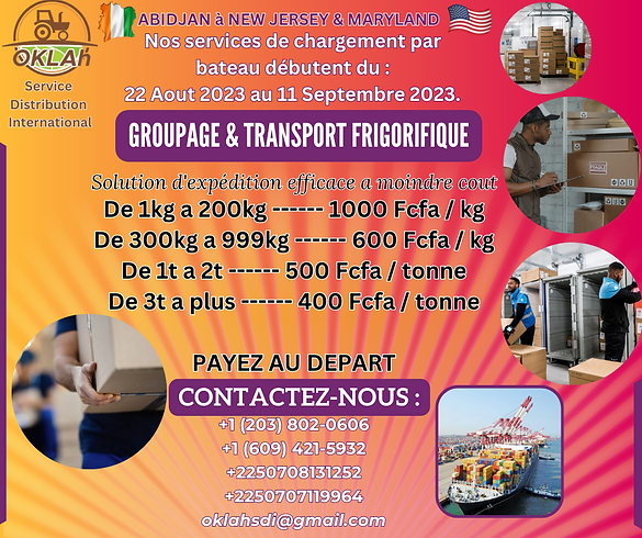 Service Distribution International (4).png