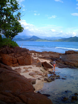 Beach combing Marak Island
