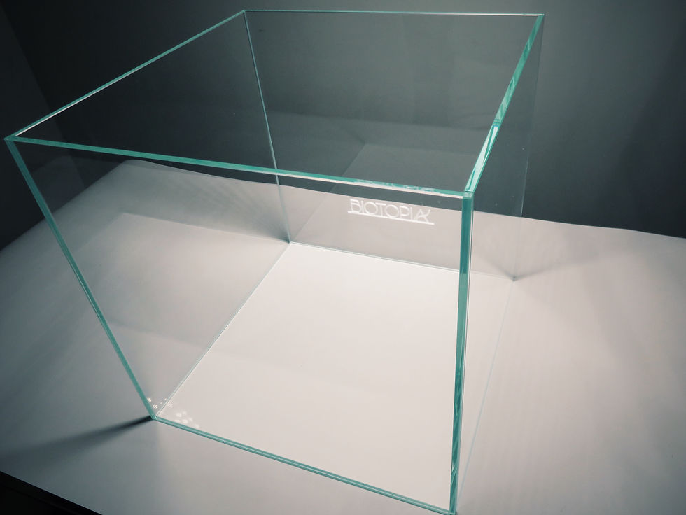 Biotopia UK 300mm Cube Aquarium