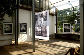 Ausstellung Botanischer Garten Erlangen Günter Derleth
