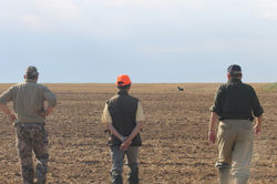 Learning from the best