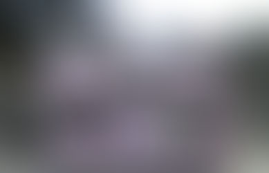 [Member's Column] Asagi Hozumi (6) Why Bartkus Was Wrong To Bomb IVF Clinic: From Antinatalist Activists’ Perspective