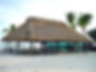 Chickee Huts
