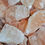 Thumbnail: Himalayan Salt