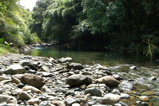 Castilo Destintion Managment - Puerto Rico Experience