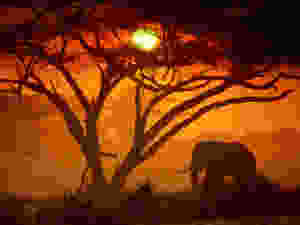 a91a941310433263759c73088552fcb7_large.jpeg