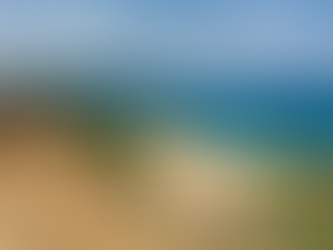 Riding the Undertow: What a Taiwanese Beach Taught Me About Life