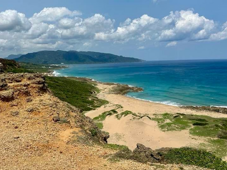 Riding the Undertow: What a Taiwanese Beach Taught Me About Life