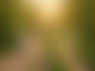 Parallel Paths: Loving Your Partner When You Are Both Healing from Trauma