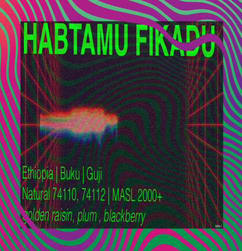 Habtamu Fikadu | Ethiopia | Natural