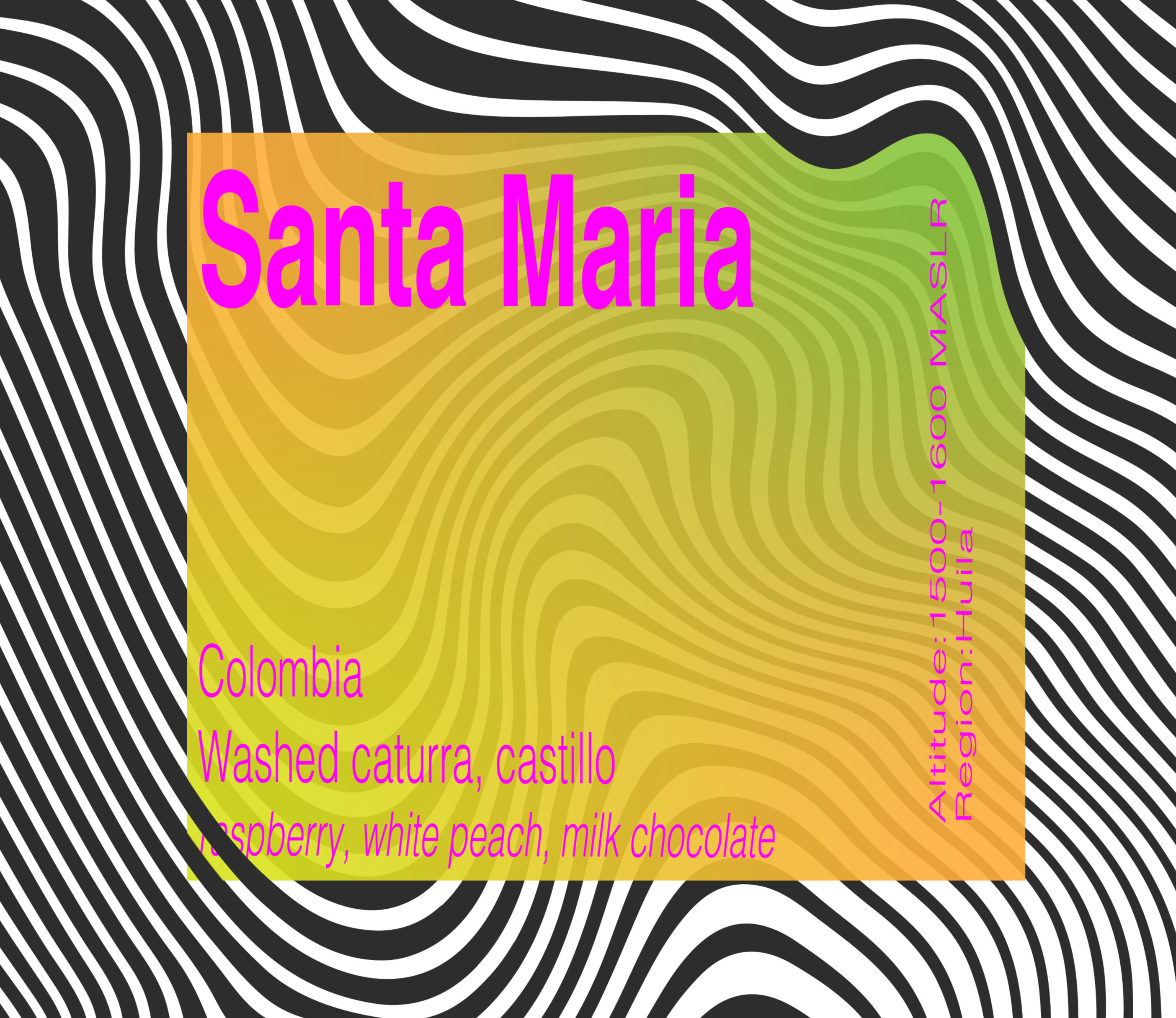 Santa Maria - Excelso EP | Colombia | Washed