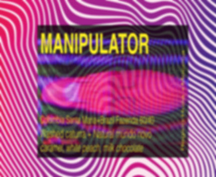 MANIPULATOR | Colombia Santa Maria+Honey Aponte 80/20