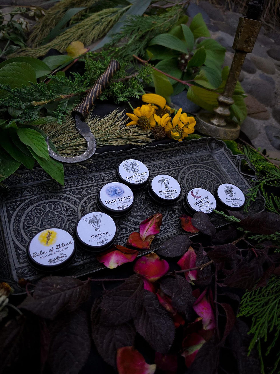 ointments main photo 2026.jpg