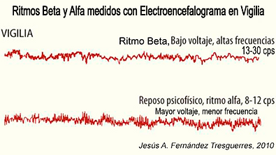 Ritmos cerebrales Beta y Alfa en la vigilia