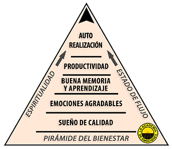 Pirámide del Bienestar