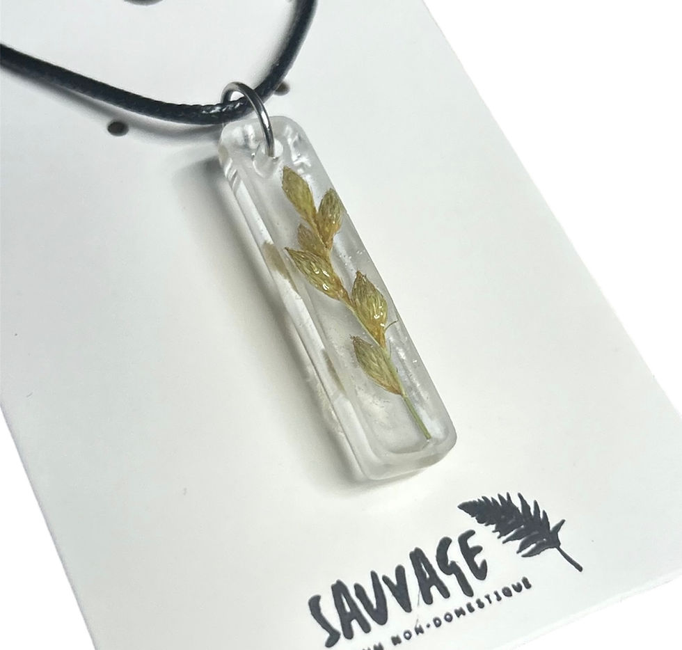 Miniature : Collier Carex