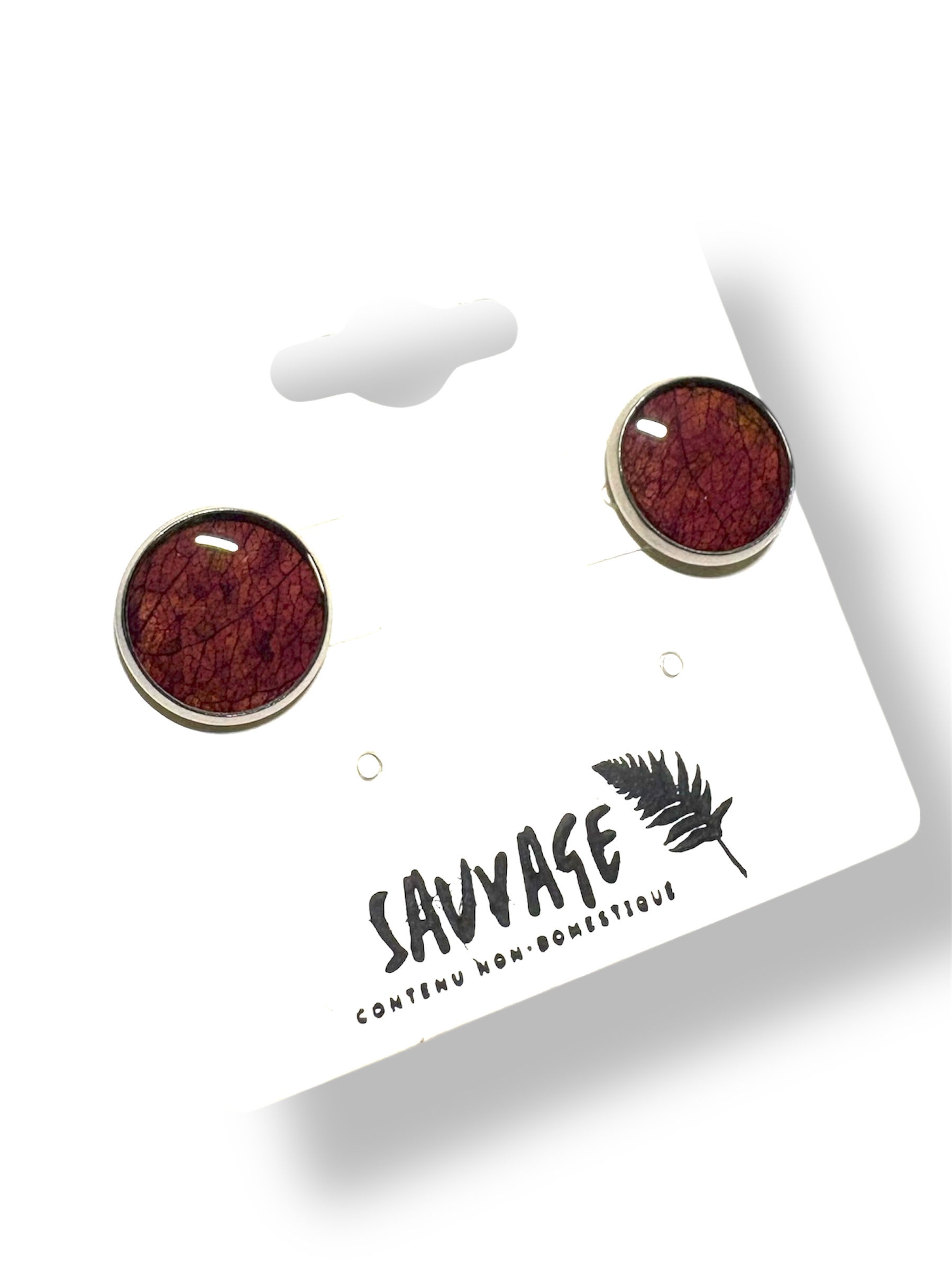 Puces Cerisier d’automne