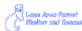 Lane Area Ferret Shetler and Rescue