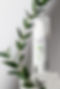 DSC_4860 baner_edited.jpg