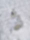DSC_5089_edited.jpg