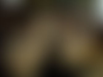 Đại thiền trà đầu năm 2016