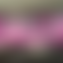 등촌역스웨디시마사지 1인샵 태양에서 편하게 