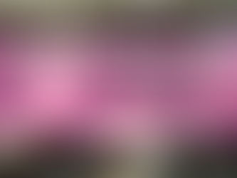 선릉역스웨디시 대치동 메타버스발리맛샵에서