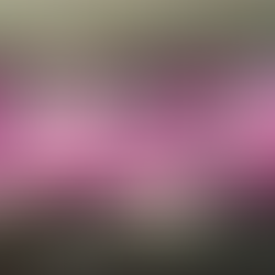 상암스웨디시마사지 최고의 선택이 된곳레옹테라피