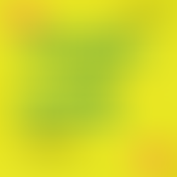 개인돈월변 사용자의 편의성을 우선으로 하여