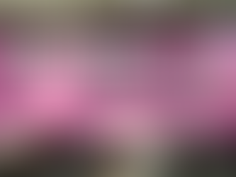 파주스웨디시마사지 1인샵세아 만족도가 크네요