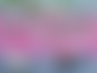 천안 성정1인샵 수린 최선의 관리가 필요하면