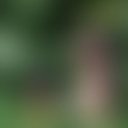 수원  영통 감성마사지  부드러운 힐링