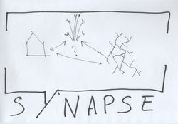 logo synapse 17.jpeg