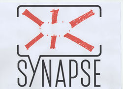 logo synapse 2.jpeg