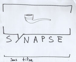 logo synapse 8.jpeg
