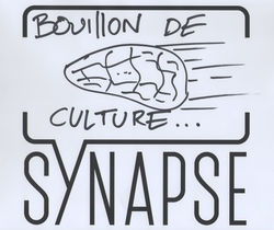logo synapse 19.jpeg