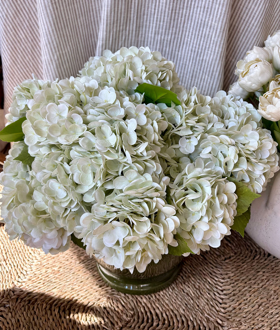 Hydrangea Stem