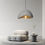 الصورة المصغرة: Janpanese Aesthetics Wabi Sabi Design Pendant Lamp application