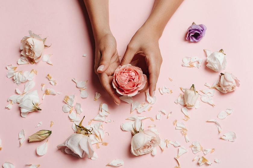 Woman's hands holding a rose, among other roses and petals. The concept of beauty and tend