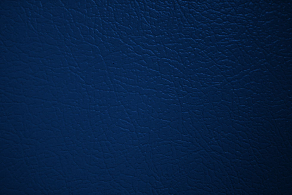 Auto Interior Repair winstonsalem