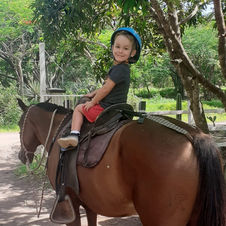 caballo3.jpg